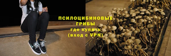 МДПВ Абаза