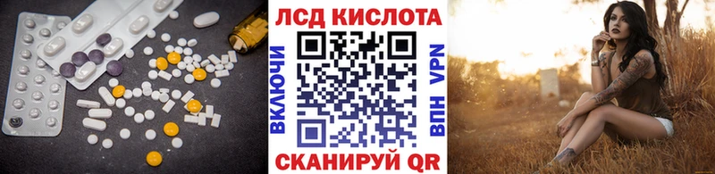 Лсд 25 экстази кислота  blacksprut маркетплейс  Шенкурск  где найти наркотики 