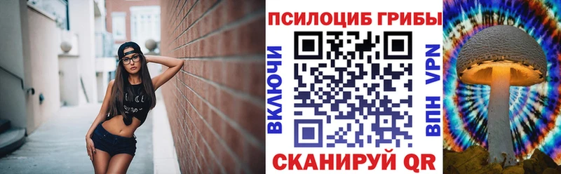 Галлюциногенные грибы мицелий Шенкурск